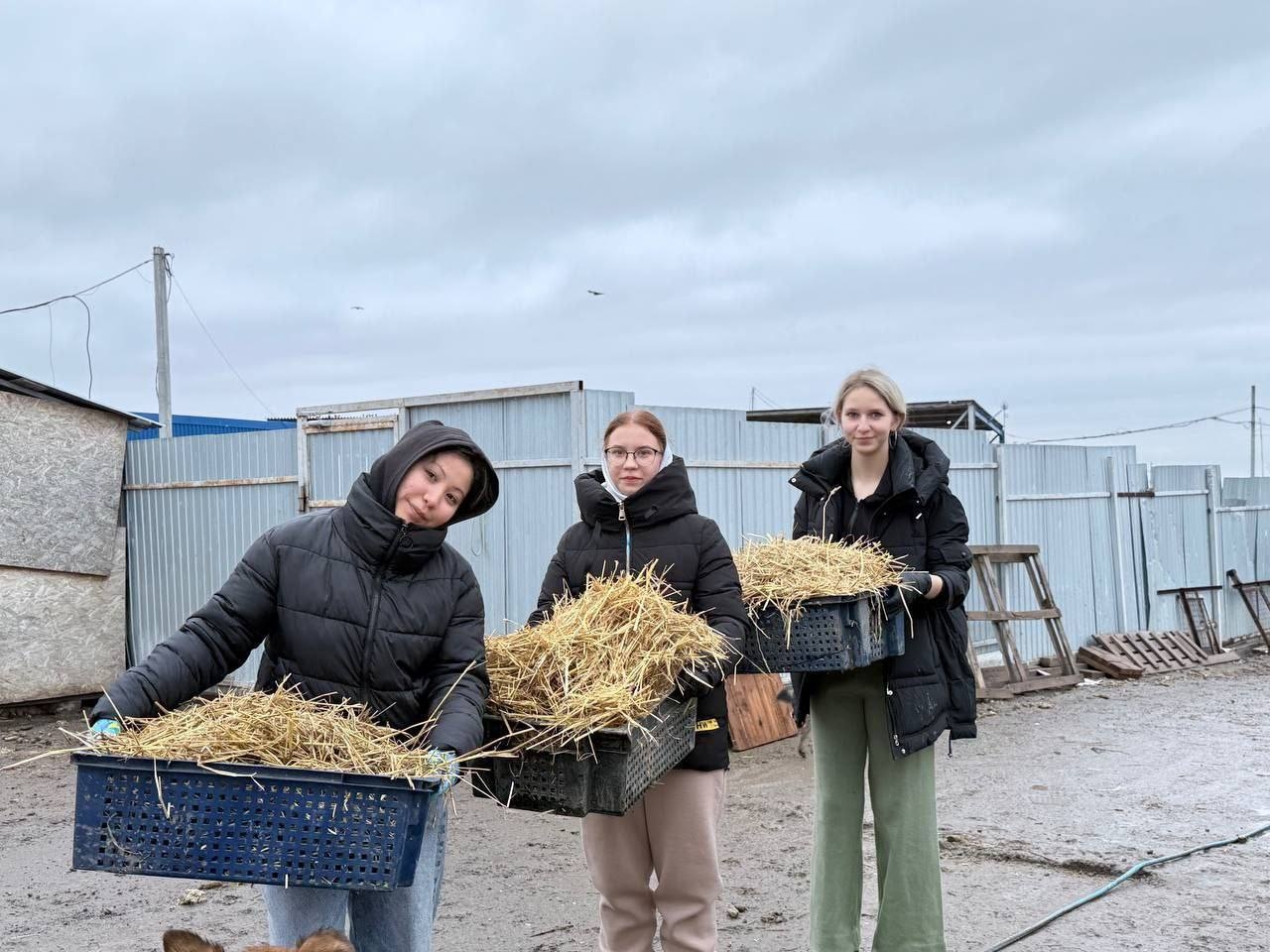 ЛАПЫ ПОМОЩИ: ПОЕЗДКА В ПРИЮТ