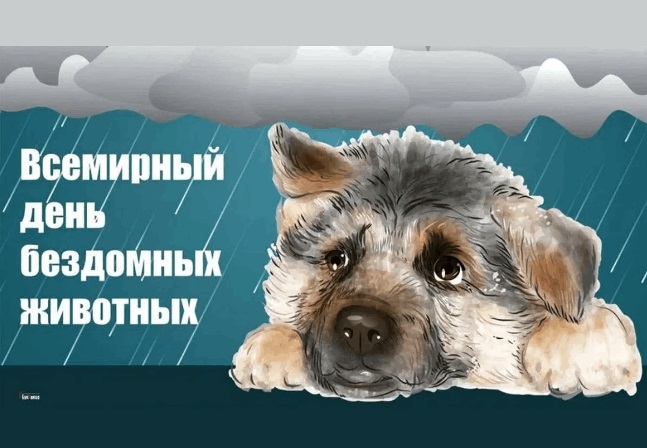 17 августа - Международный День бездомных животных