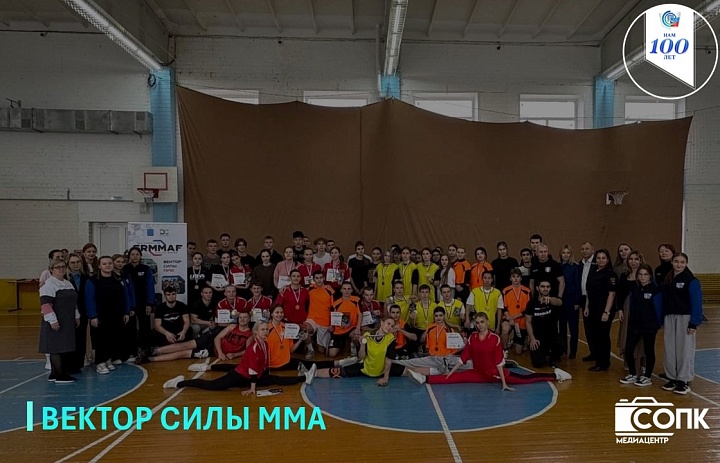 ВЕКТОР СИЛЫ ММА