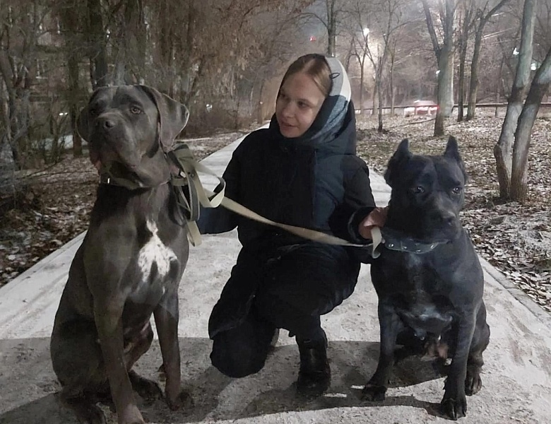 Всемирный день домашних животных