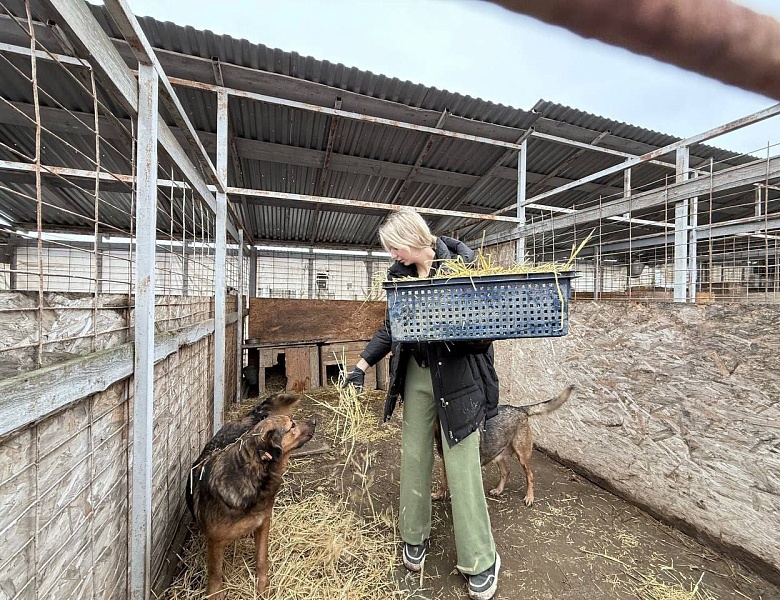 ЛАПЫ ПОМОЩИ: ПОЕЗДКА В ПРИЮТ