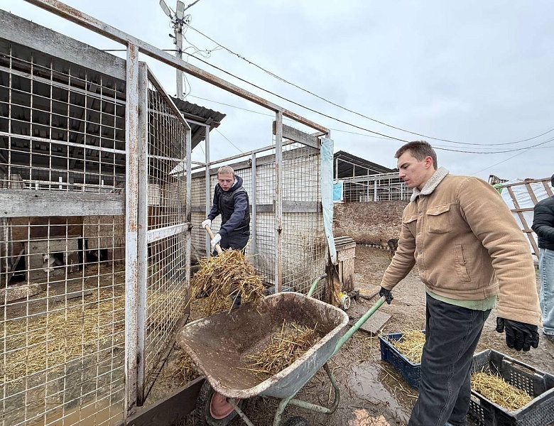 ЛАПЫ ПОМОЩИ: ПОЕЗДКА В ПРИЮТ