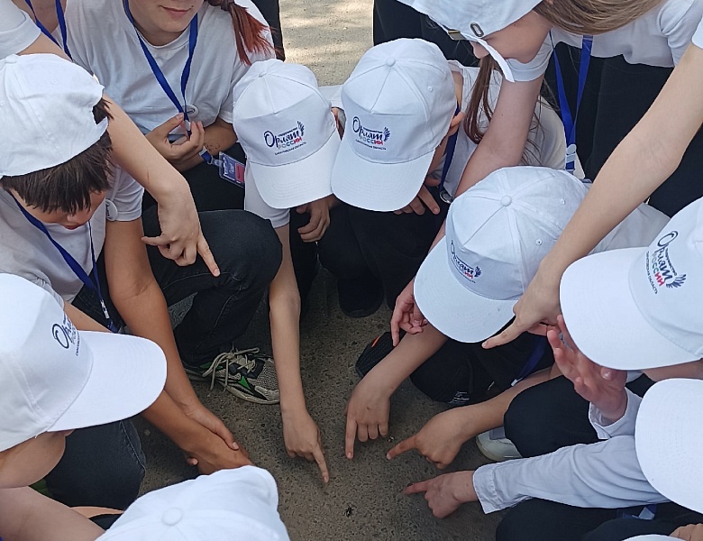 ФП «ПРОФЕССИОНАЛИТЕТ»: ЛЕТНЯЯ ПРАКТИКА